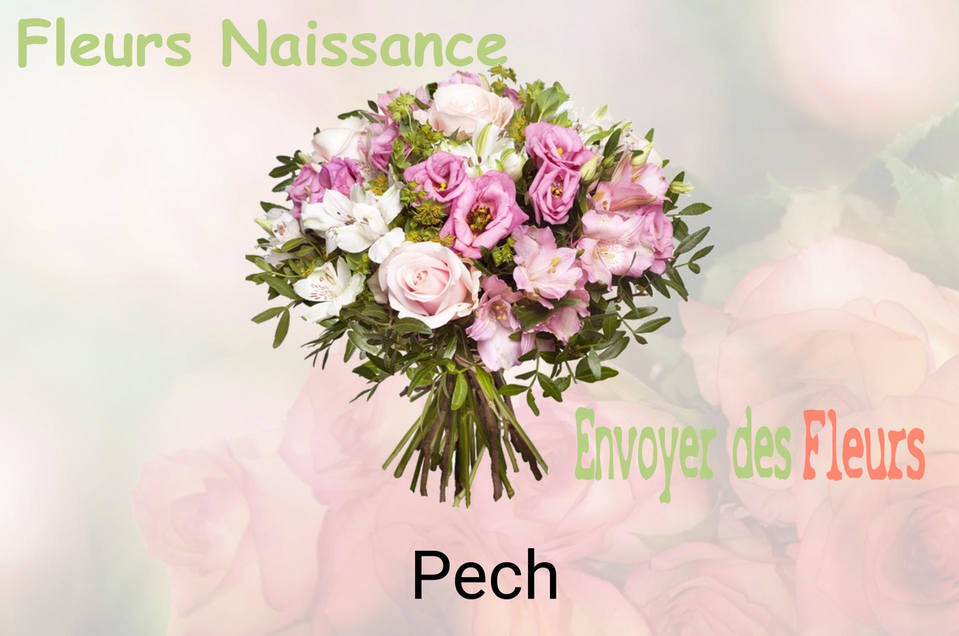 Bouquet de fleurs de naissance livré à Pech